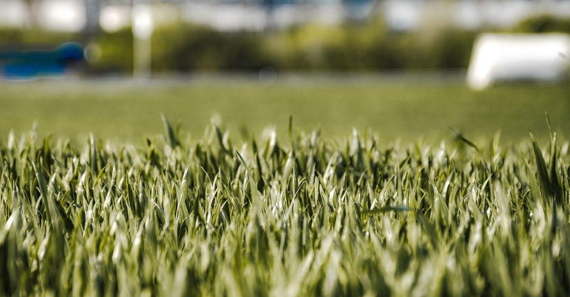 Wanneer graszoden leggen? Het beste moment per seizoen